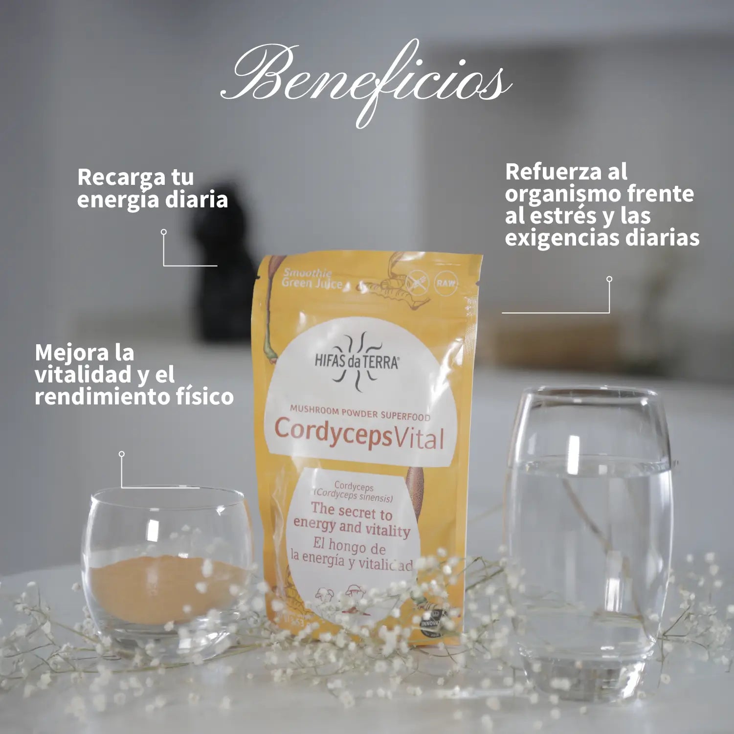 Cordyceps Vital (100% polvo de Cordyceps) 100 g de Hifas da Terra