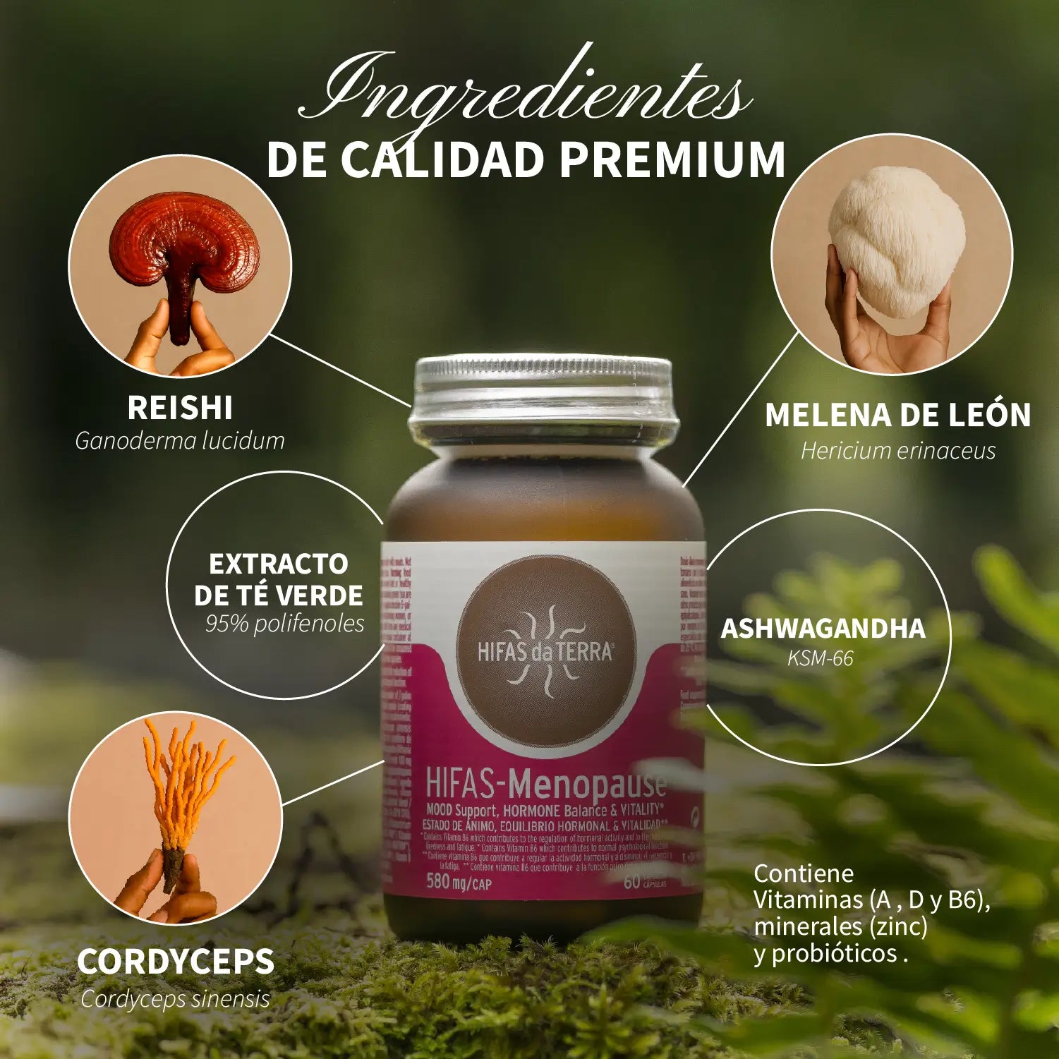 HIFAS-Menopause (Menopausia) 60 cápsulas de Hifas da Terra