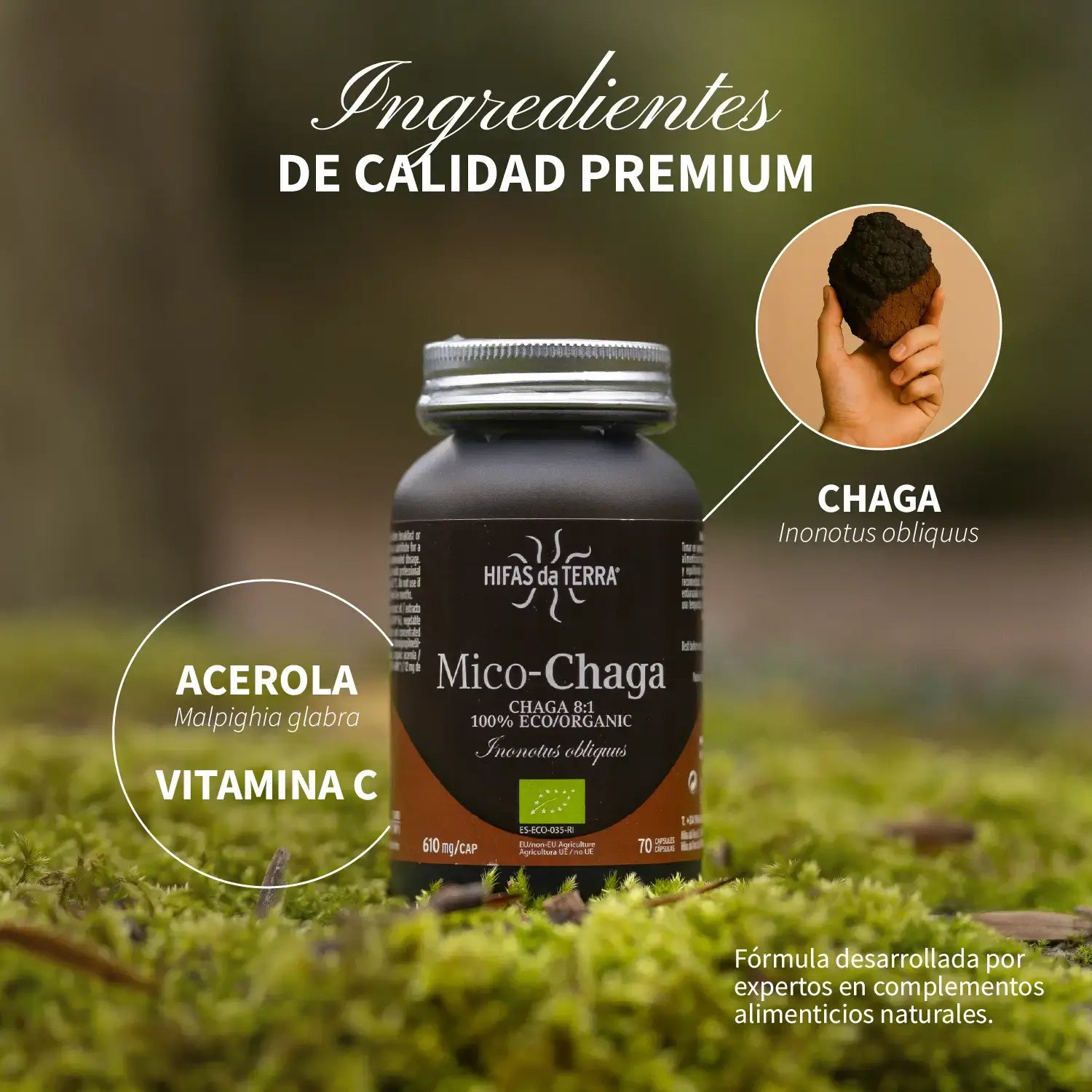 Mico-Chaga 70 cápsulas de Hifas da Terra