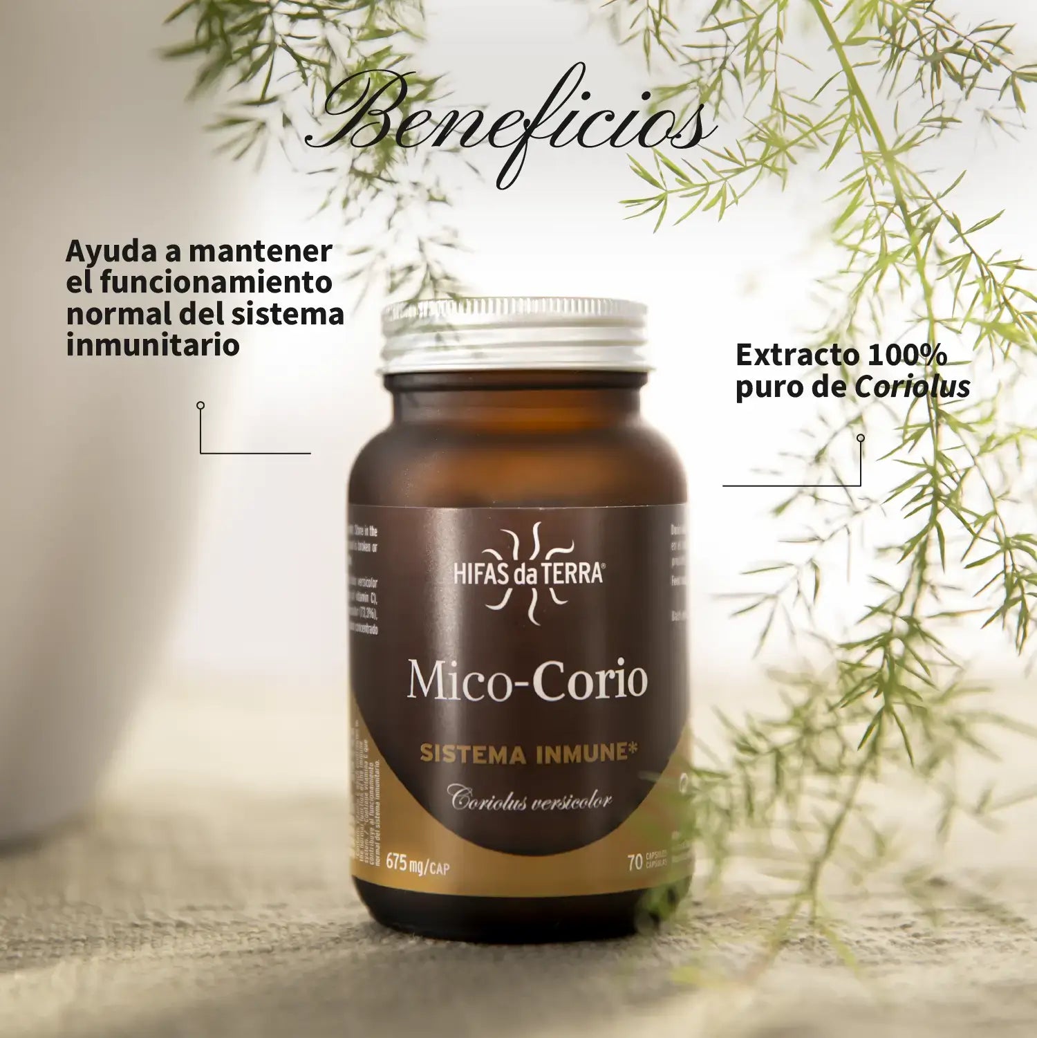 Mico-Corio 70 cápsulas de Hifas da Terra