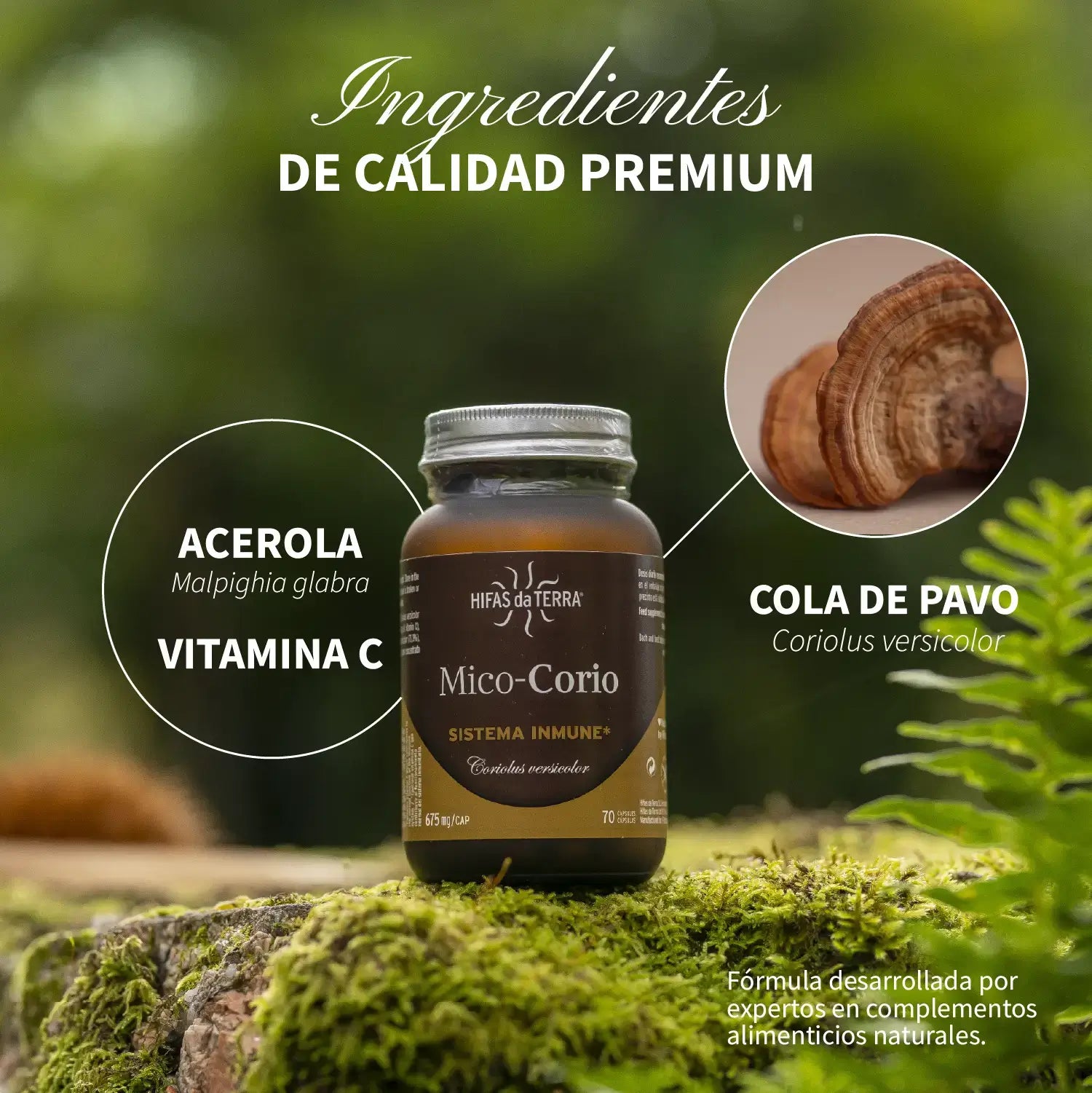 Mico-Corio 70 cápsulas de Hifas da Terra