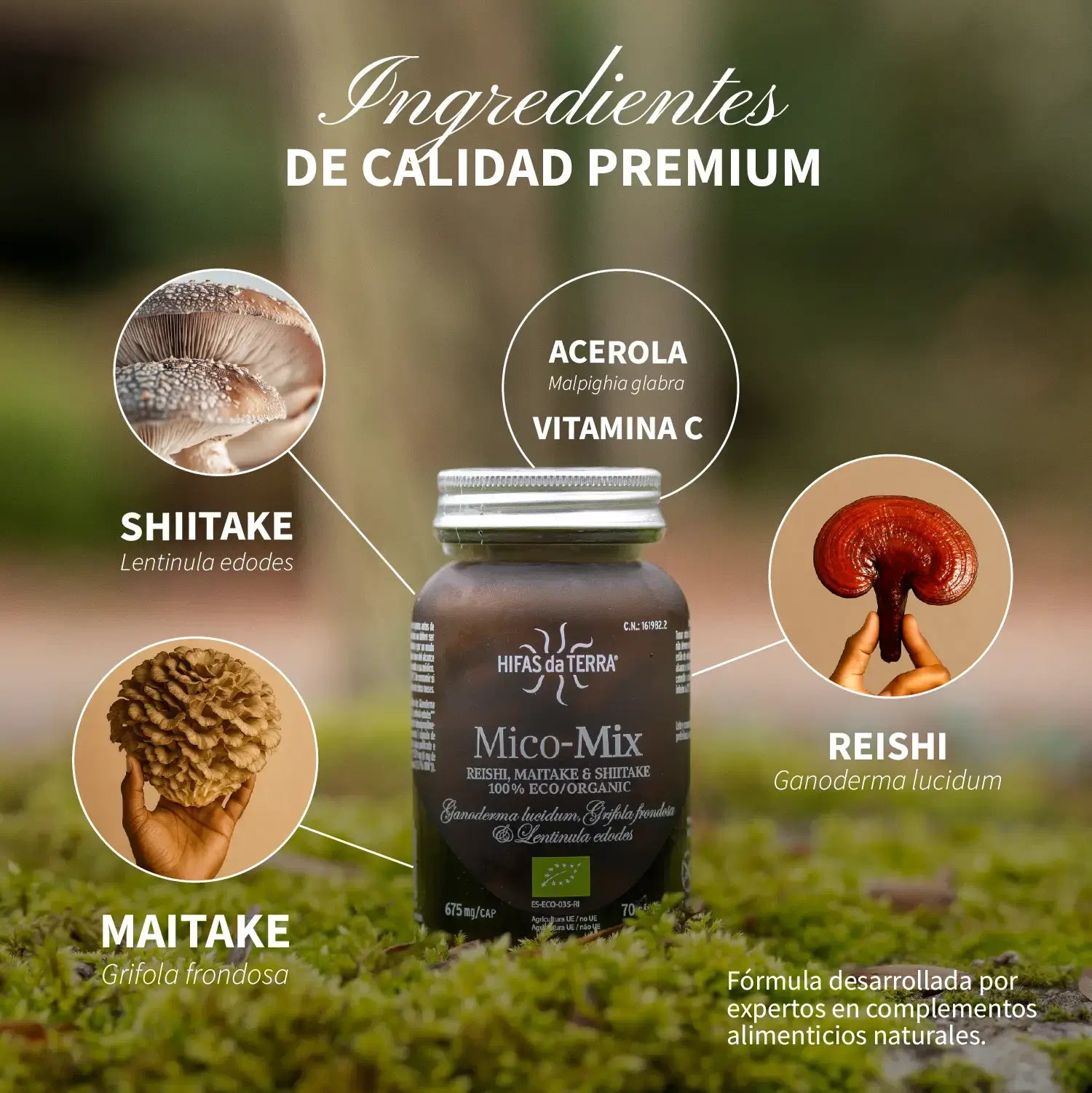 Mico-Five 70 cápsulas de Hifas da Terra