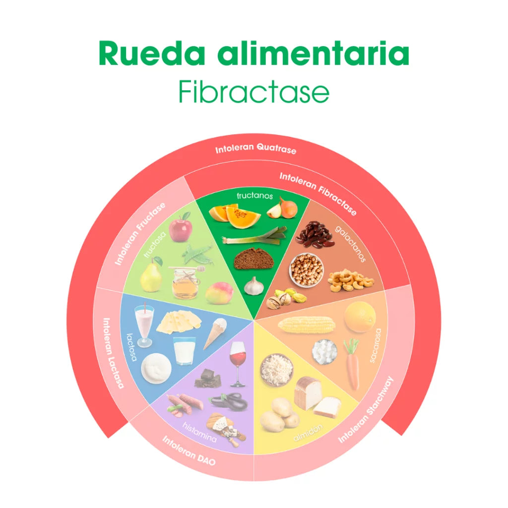 Fibractase 1200 (Forte) 36 cápsulas de Intoleran