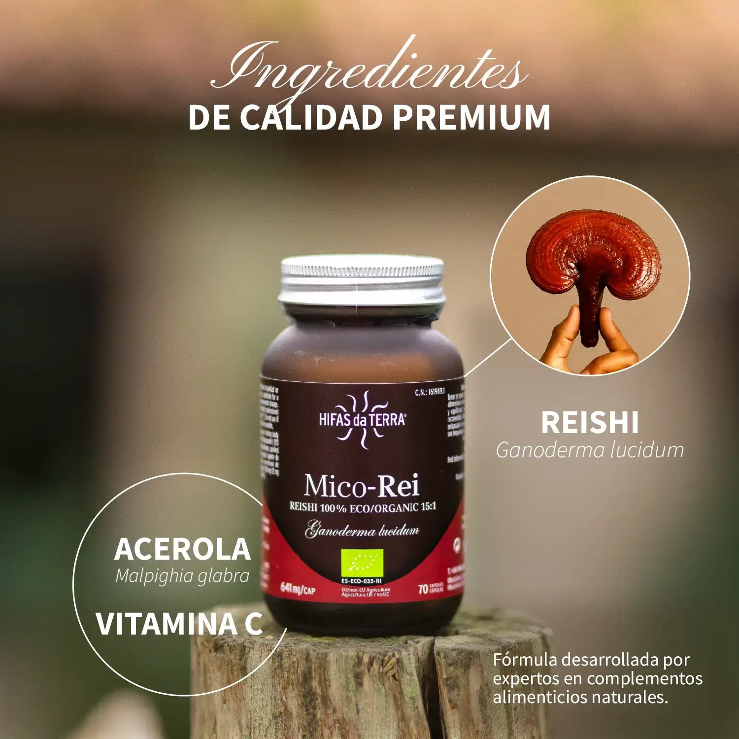 Mico-Rei 70 capsules