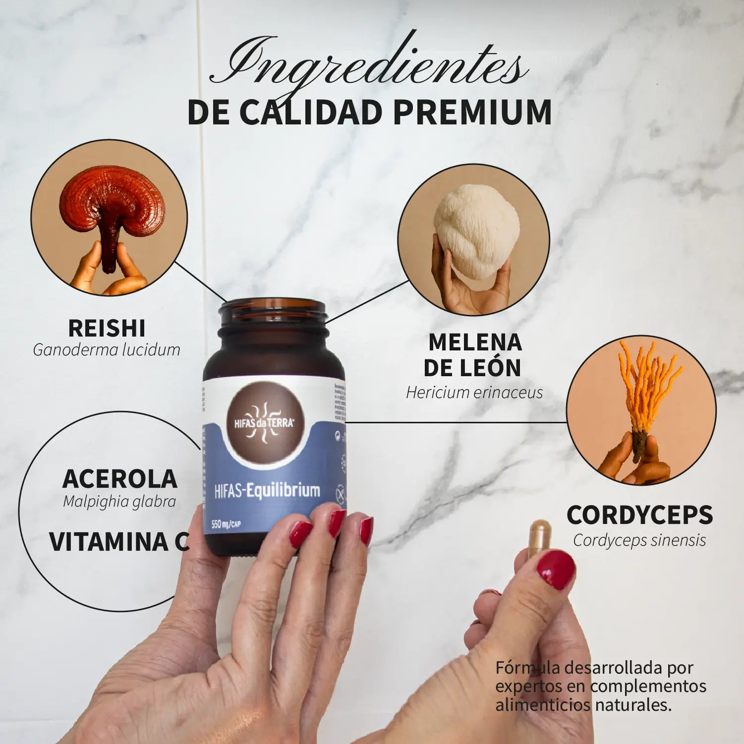 HIFAS-Equilibrium 60 cápsulas de Hifas da Terra