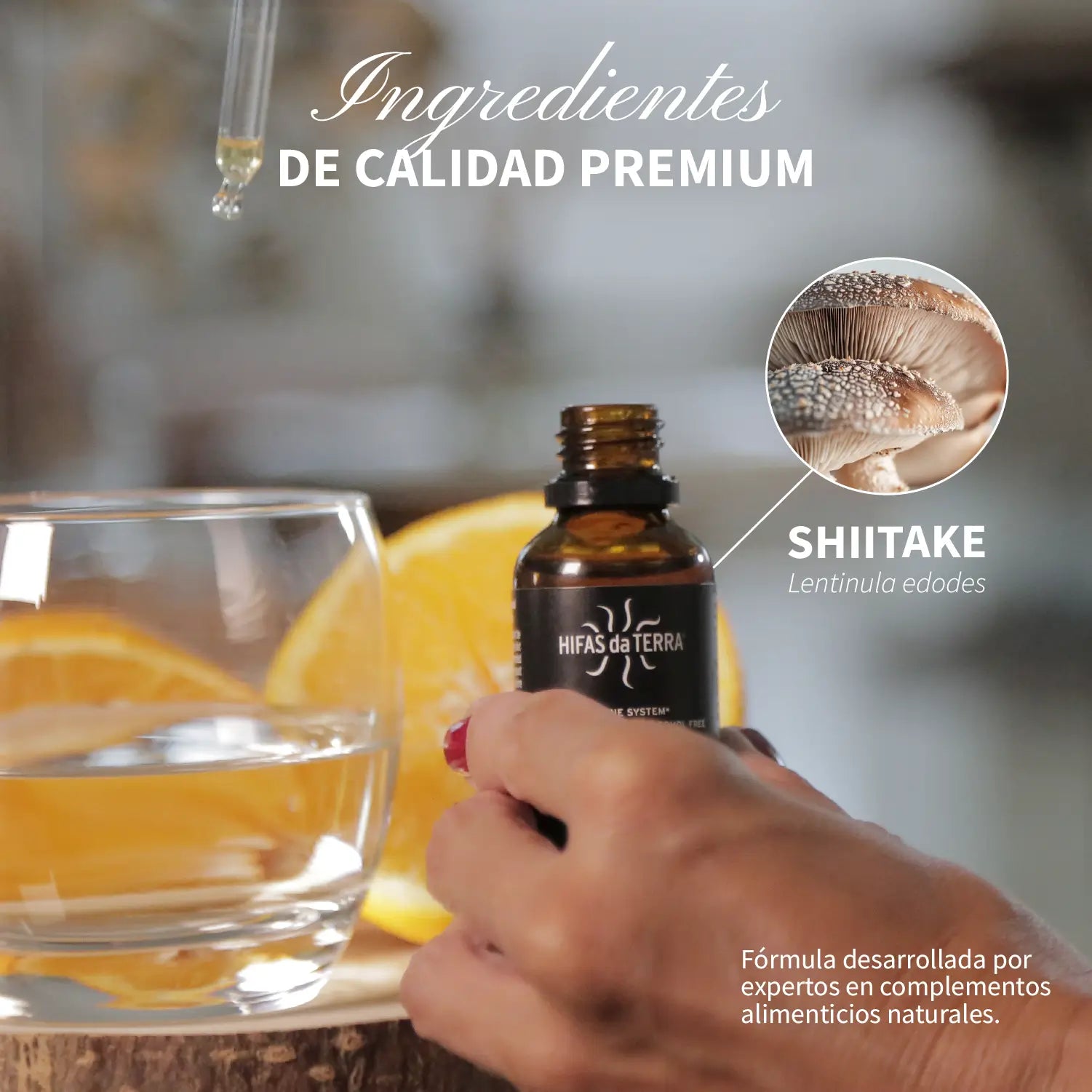 HIFAS-Lentinan (Extracto de Shiitake líquido) 30 ml de Hifas da Terra