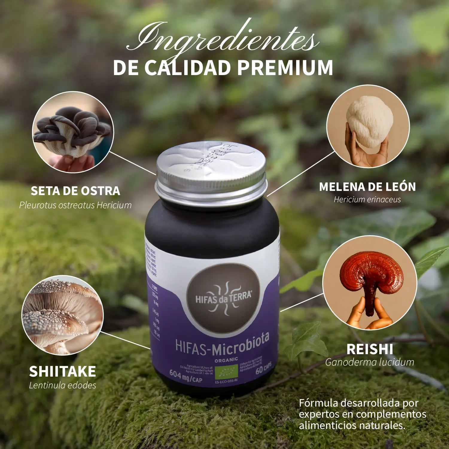 HIFAS-Microbiota 60 cápsulas de Hifas da Terra