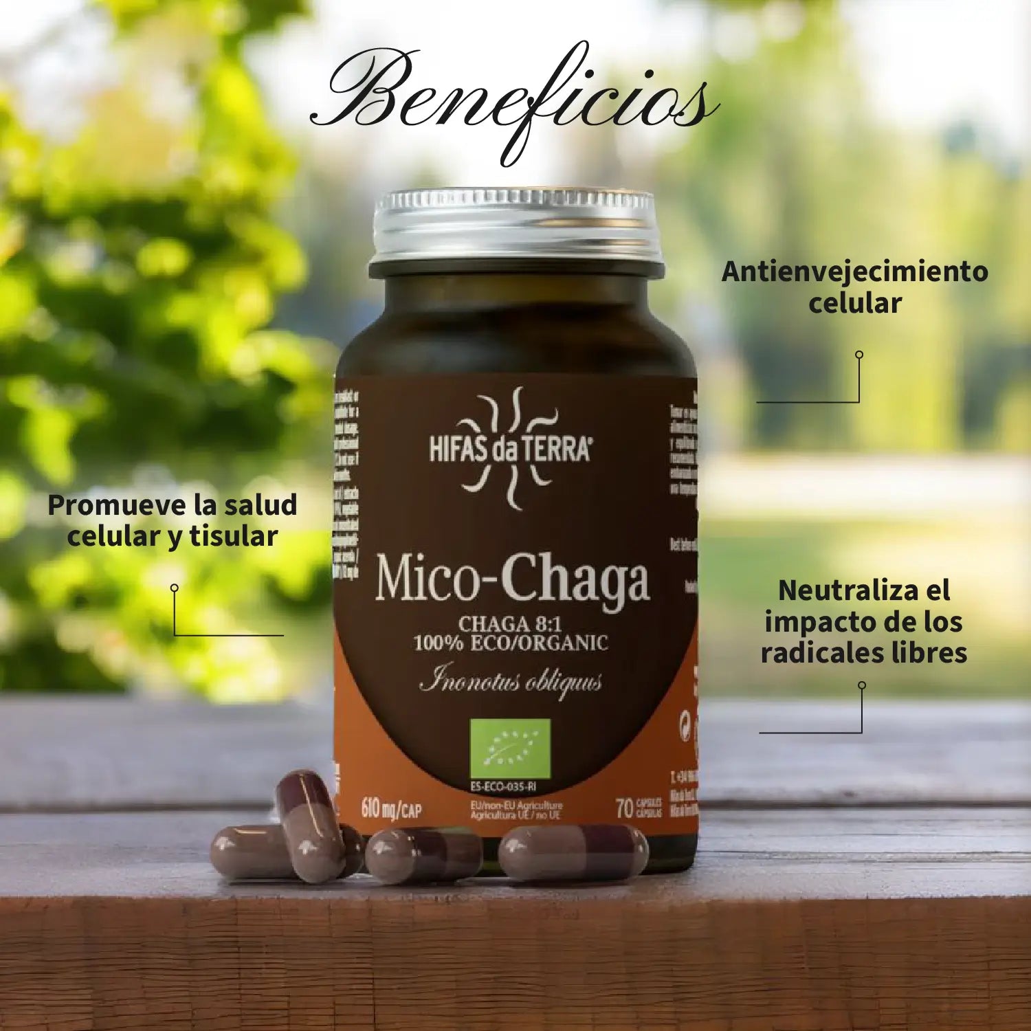Mico-Chaga 70 cápsulas de Hifas da Terra