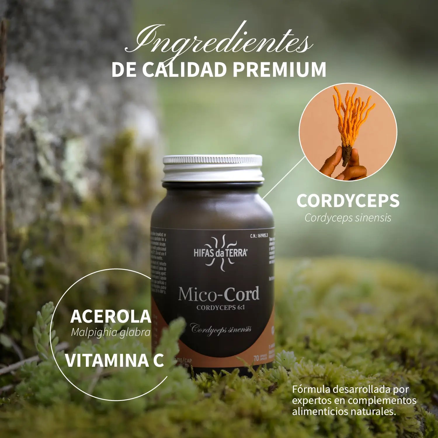Mico-Cord 70 cápsulas de Hifas da Terra