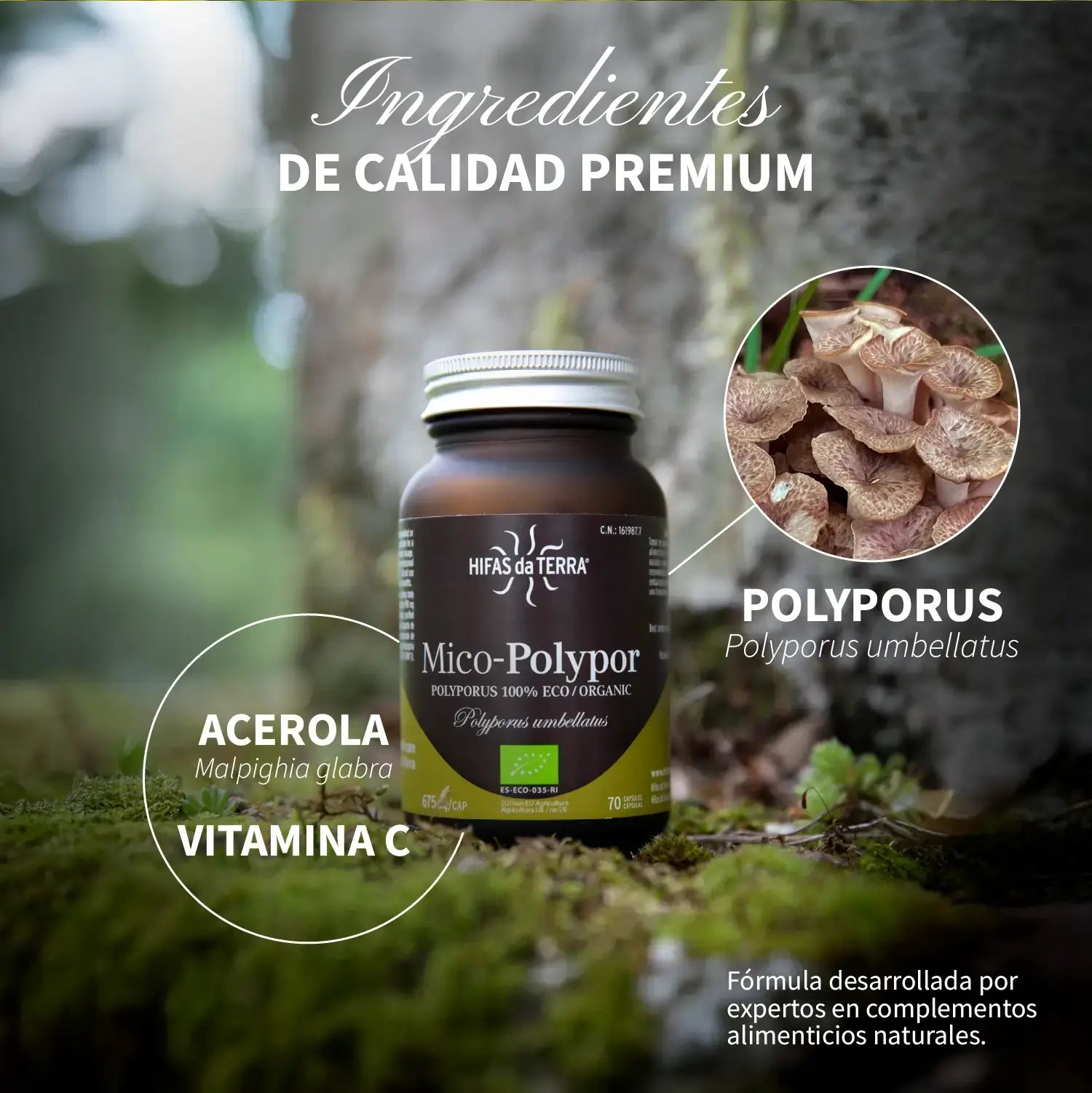 Mico-Polypor 70 cápsulas de Hifas da Terra