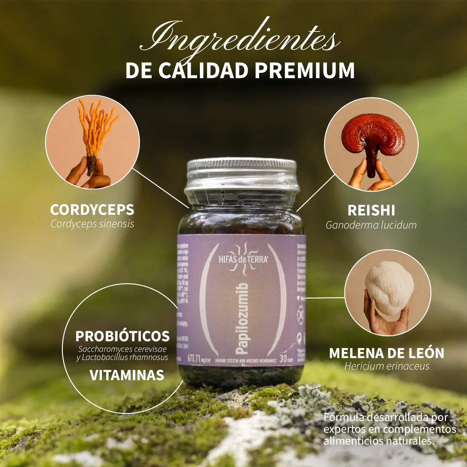 Papilozumib 30 cápsulas de Hifas da Terra