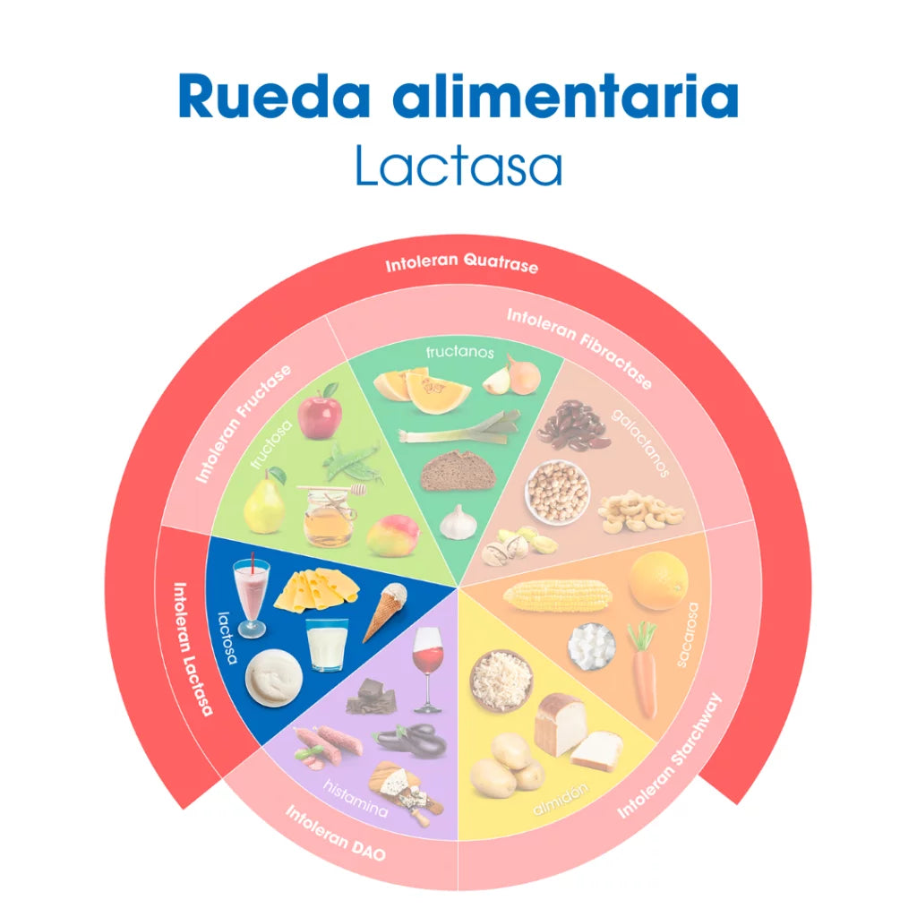 Lactasa en gotas 14 ml de Intoleran