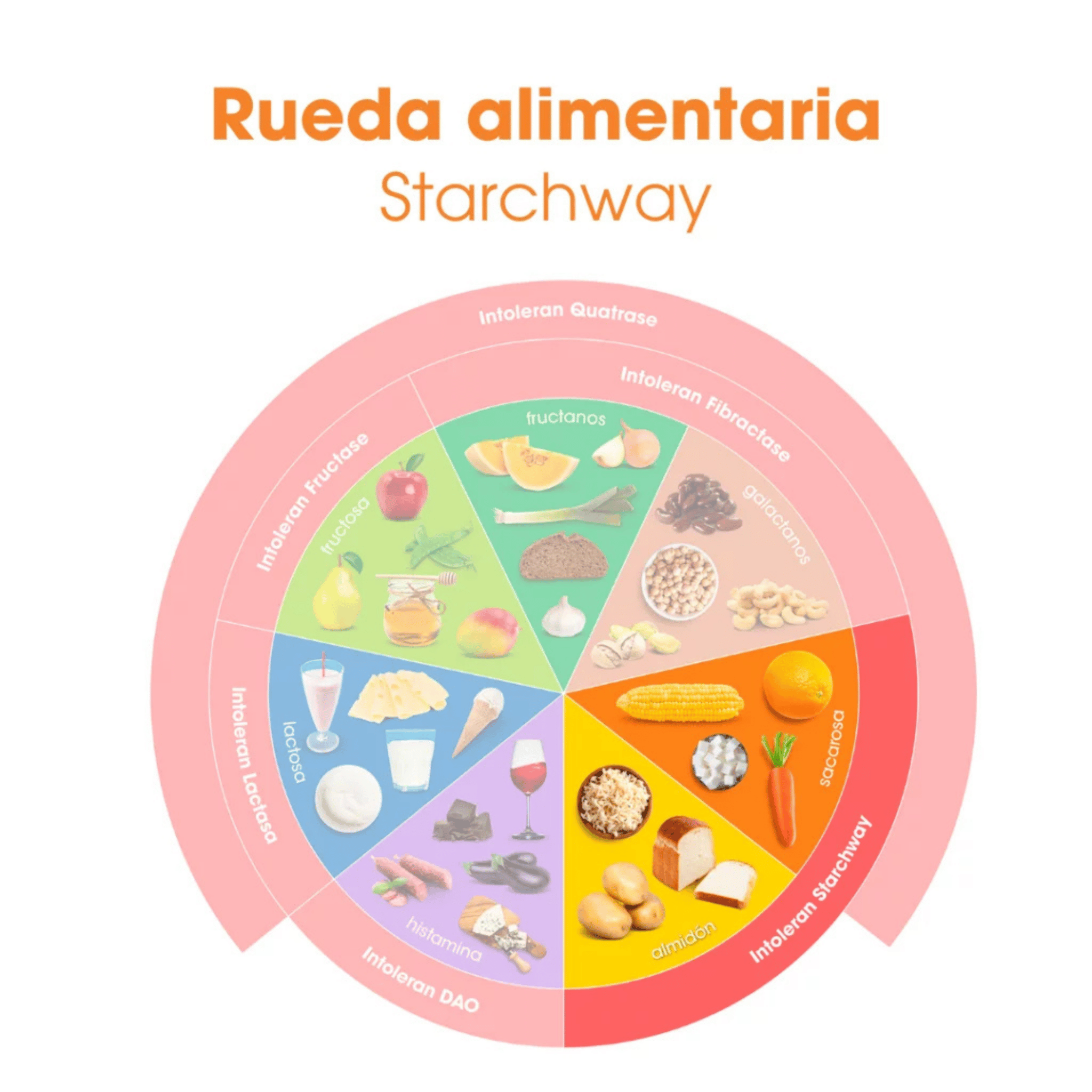 Starchway (enzimas para almidón y sacarosa) 50 cápsulas de Intoleran