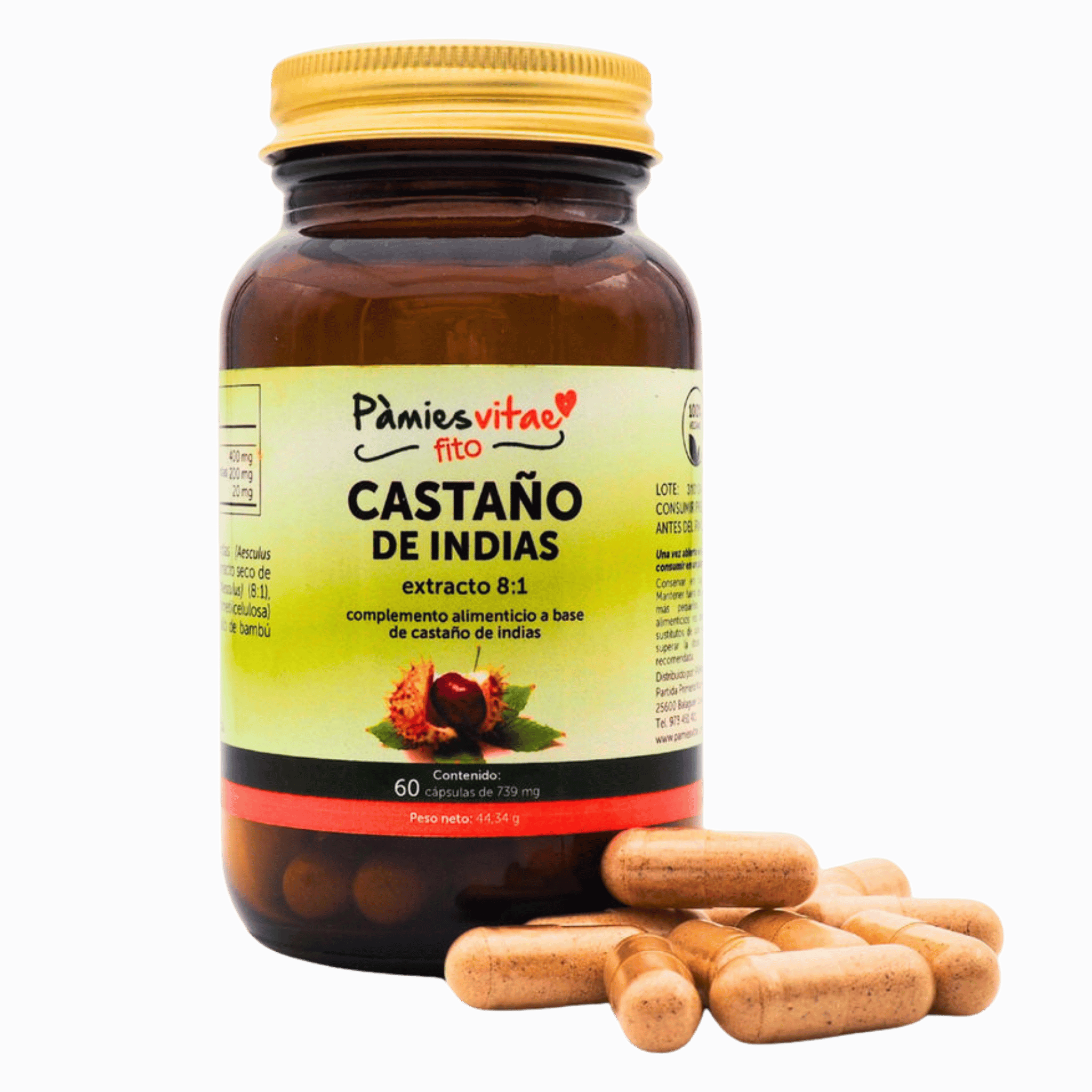 Castaño de Indias 60 cápsulas de Pàmies Vitae