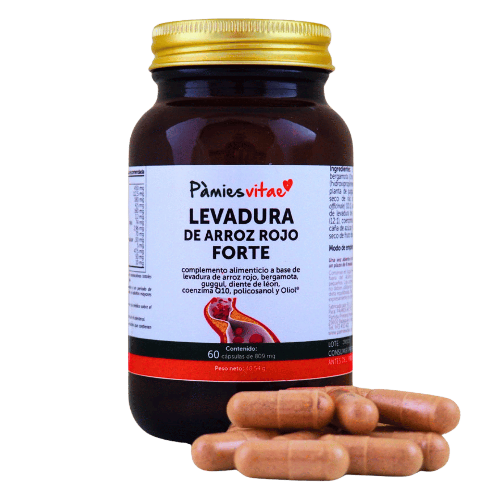 Levadura de Arroz Rojo Forte 60 cápsulas de Pàmies Vitae