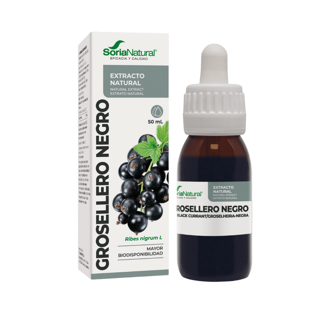 Grosellero negro Extracto 50 ml de Soria Natural
